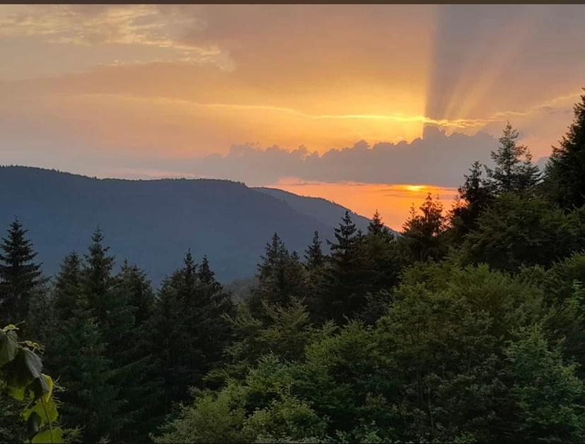Gaestehaus Und Ferienwohnung Baechle Bad Peterstal-Griesbach Bagian luar foto